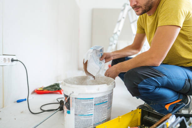 Best Mold Damage Restoration  in Fairforest, SC