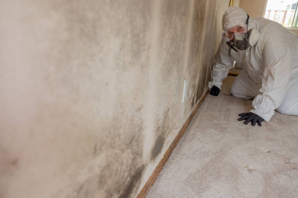 Best Mold Documentation for Insurance Claims  in Fairforest, SC