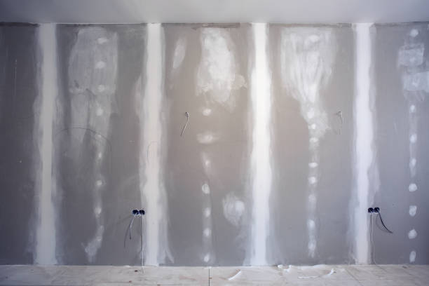Best Mold Odor Removal Services  in Fairforest, SC